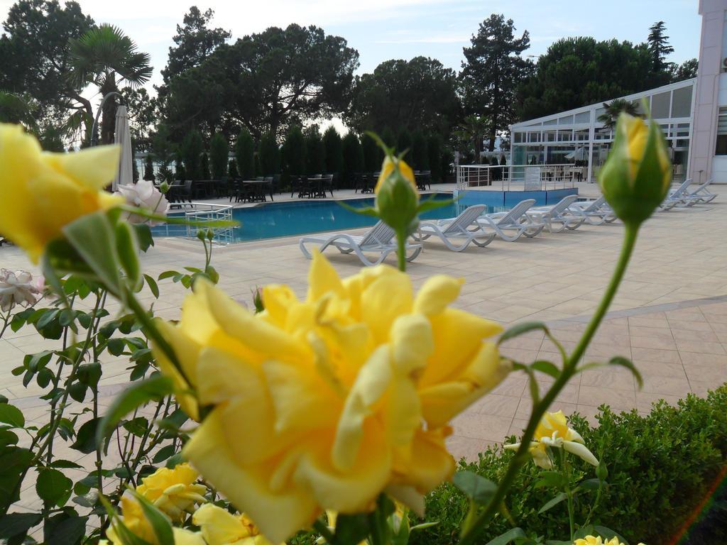 Grand Nicea Hotel İznik Pokoj fotografie